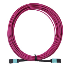 MPO-MPO mm Om4 Fibra Violeta Fibra Patch Cord